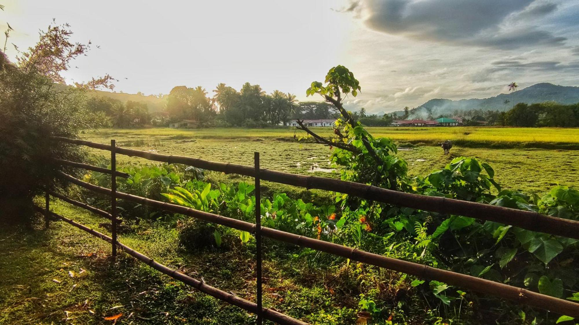Kampung Tok Lembut Vacation Home Pantai Cenang  Εξωτερικό φωτογραφία
